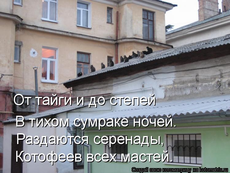 От тайги и до степей В тихом сумраке ночей. Раздаются серенады, Котофеев всех мастей.... Котоматрица: От тайги и до степей В тихом сумраке ночей. Раздаются серенады, Котофеев всех мастей.