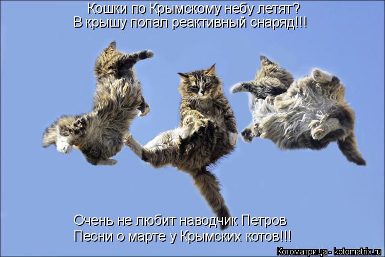 Кошки по Крымскому небу летят? В крышу попал реактивный снаряд!!! Песни о марте у Крымских котов!!! О... Котоматрица: Кошки по Крымскому небу летят? В крышу попал реактивный снаряд!!! Песни о марте у Крымских котов!!! Очень не любит наводчик Петров