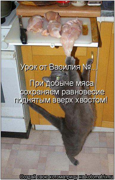 Урок от Василия №... При добыче мяса сохраняем равновесие поднятым вверх хвостом!... Котоматрица: Урок от Василия №... При добыче мяса сохраняем равновесие поднятым вверх хвостом!
