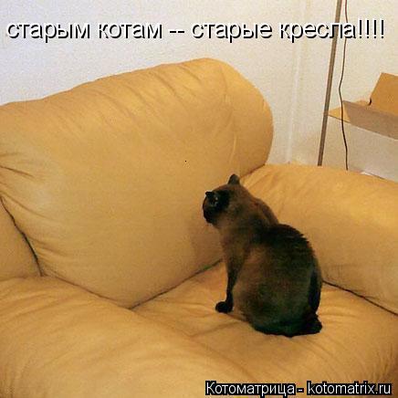 Котоматрица: старым котам -- старые кресла!!!!