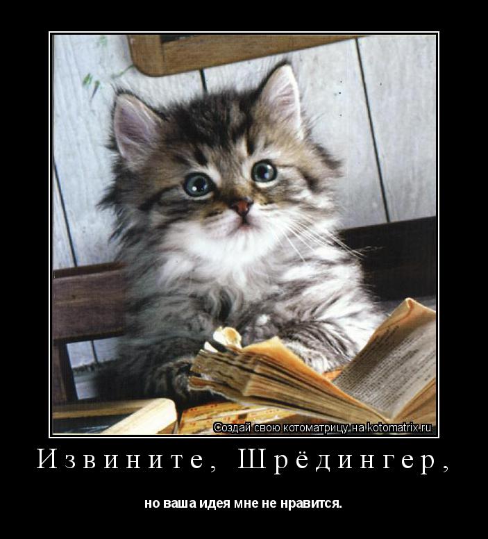 Извините, Шрёдингер, но ваша идея мне не нравится.... Котоматрица: Извините, Шрёдингер, но ваша идея мне не нравится.