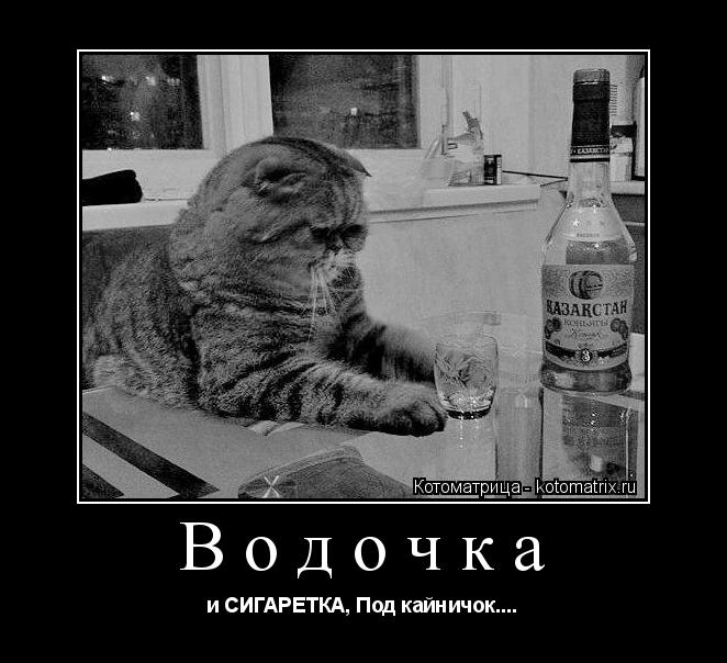 Водочка и СИГАРЕТКА, Под кайничок....... Котоматрица: Водочка и СИГАРЕТКА, Под кайничок....