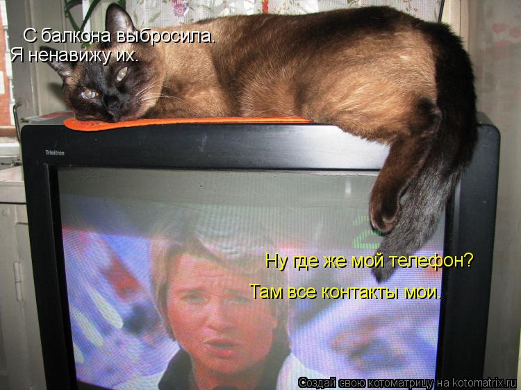 Котоматрица: Ну где же мой телефон? С балкона выбросила. Там все контакты мои. Я ненавижу их.