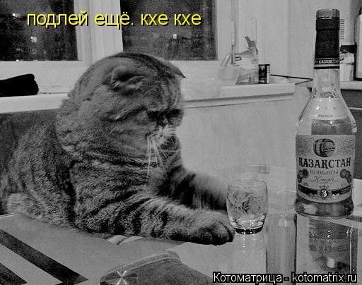 подлей ещё. кхе кхе... Котоматрица: подлей ещё. кхе кхе