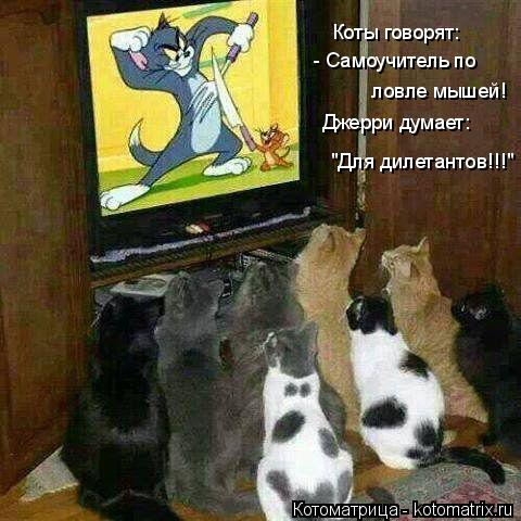 Коты говорят: - Самоучитель по ловле мышей! Джерри думает: "Для дилетантов!!!"... Котоматрица: Коты говорят: - Самоучитель по ловле мышей! Джерри думает: "Для дилетантов!!!"