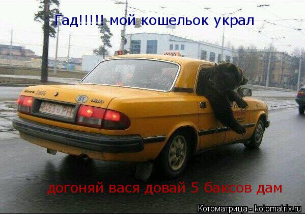 Гад!!!!! мой кошельок украл догоняй вася довай 5 баксов дам... Котоматрица: Гад!!!!! мой кошельок украл догоняй вася довай 5 баксов дам