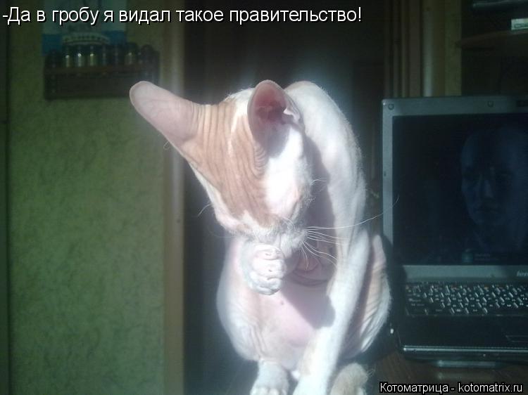 -Да в гробу я видал такое правительство!... Котоматрица: -Да в гробу я видал такое правительство!