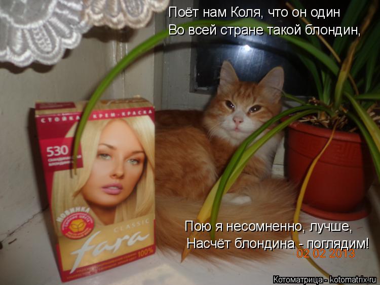 Поёт нам Коля, что он один Во всей стране такой блондин, Пою я несомненно, лучше, Насчёт блондина - п... Котоматрица: Поёт нам Коля, что он один Во всей стране такой блондин, Пою я несомненно, лучше, Насчёт блондина - поглядим!