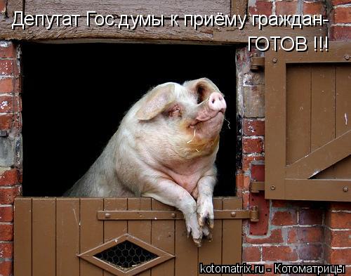 Котоматрица: Депутат Гос.думы к приёму граждан- ГОТОВ !!!