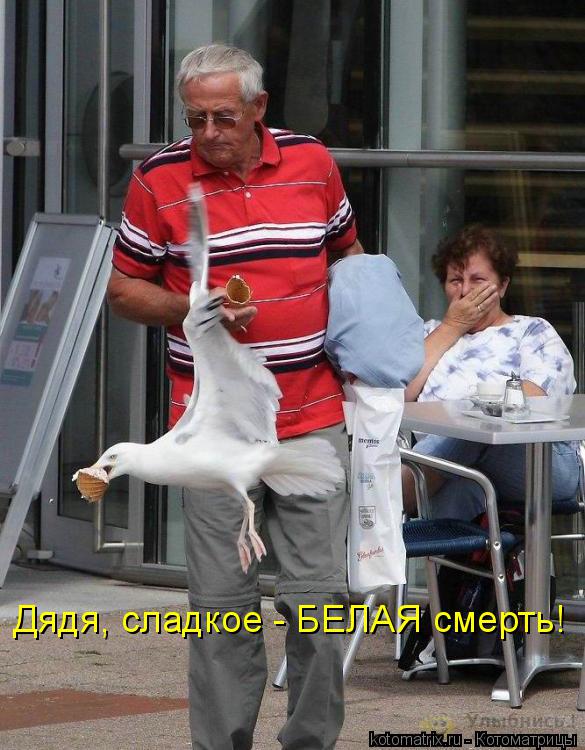 Котоматрица: Дядя, сладкое - БЕЛАЯ смерть!