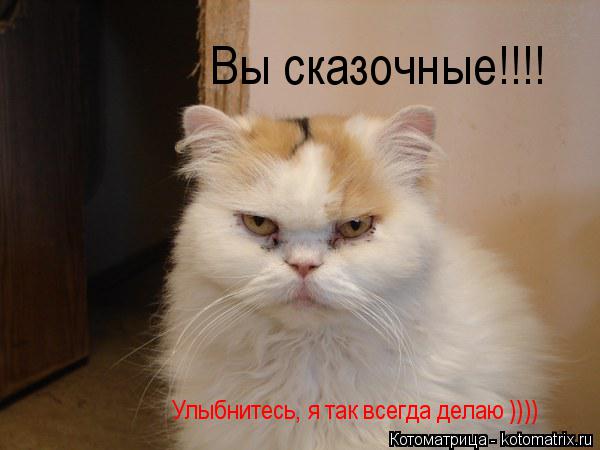 Вы сказочные!!!! Улыбнитесь, я так всегда делаю ))))... Котоматрица: Вы сказочные!!!! Улыбнитесь, я так всегда делаю ))))