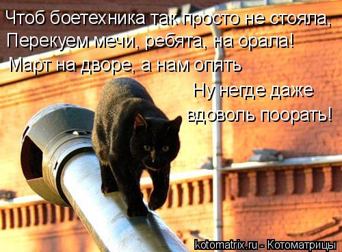 Котоматрица: Чтоб боетехника так просто не стояла,  Перекуем мечи, ребята, на орала! Март на дворе, а нам опять Ну негде даже вдоволь поорать!