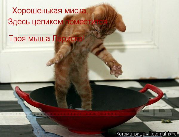 Хорошенькая миска, Здесь целиком поместится Твоя мыша Лариска!... Котоматрица: Хорошенькая миска, Здесь целиком поместится Твоя мыша Лариска!