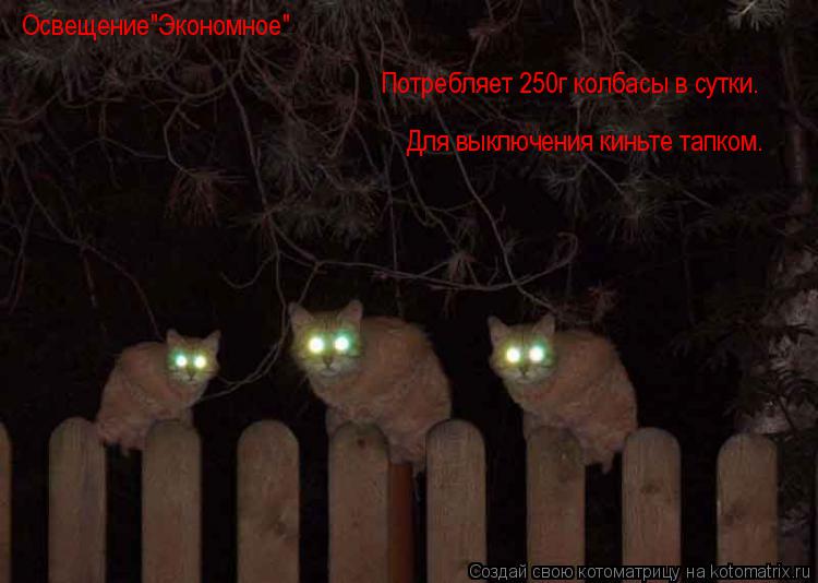 Котоматрица: Освещение"Экономное" Потребляет 250г колбасы в сутки. Для выключения киньте тапком.