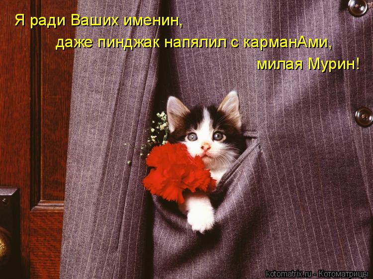 Я ради Ваших именин, даже пинджак напялил с карманАми, милая Мурин!... Котоматрица: Я ради Ваших именин, даже пинджак напялил с карманАми, милая Мурин!