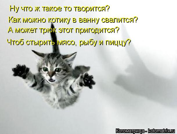 Ну что ж такое то творится? Как можно котику в ванну свалится? А может трюк этот пригодится? Чтоб сты... Котоматрица: Ну что ж такое то творится? Как можно котику в ванну свалится? А может трюк этот пригодится? Чтоб стырить мясо, рыбу и пиццу?