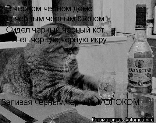 В черном,черном доме. За черным,черным столом. Сидел черный,черный кот. И ел черную,черную икру. Запи... Котоматрица: В черном,черном доме. За черным,черным столом. Сидел черный,черный кот. И ел черную,черную икру. Запивая черным,черным МОЛОКОМ