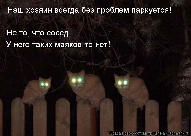 Наш хозяин всегда без проблем паркуется! Не то, что сосед... У него таких маяков-то нет!... Котоматрица: Наш хозяин всегда без проблем паркуется! Не то, что сосед... У него таких маяков-то нет!
