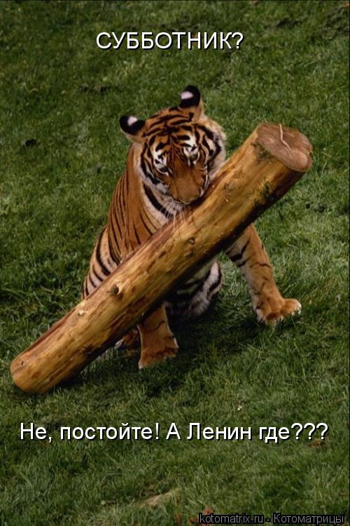 Котоматрица: СУББОТНИК? Не, постойте! А Ленин где???