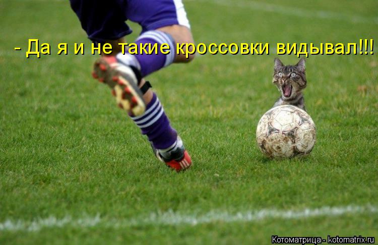 - Да я и не такие кроссовки видывал!!!... Котоматрица: - Да я и не такие кроссовки видывал!!!
