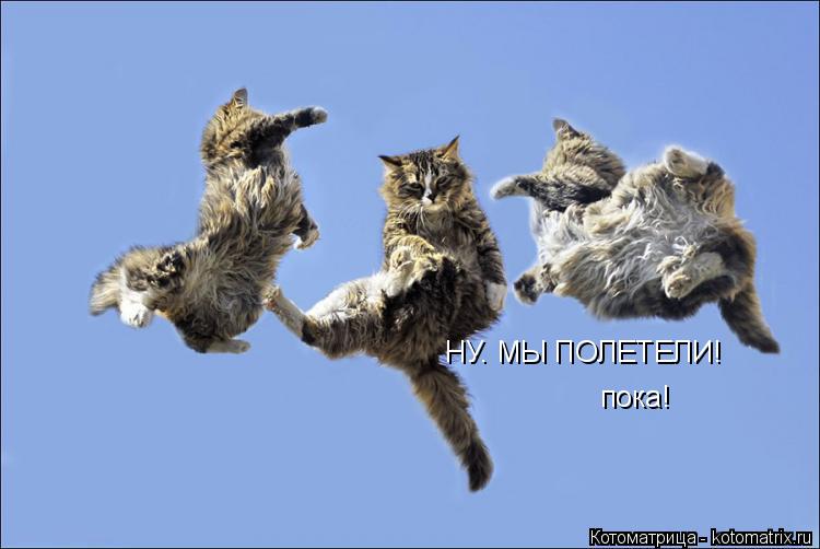 НУ. МЫ ПОЛЕТЕЛИ! пока!... Котоматрица: НУ. МЫ ПОЛЕТЕЛИ! пока!