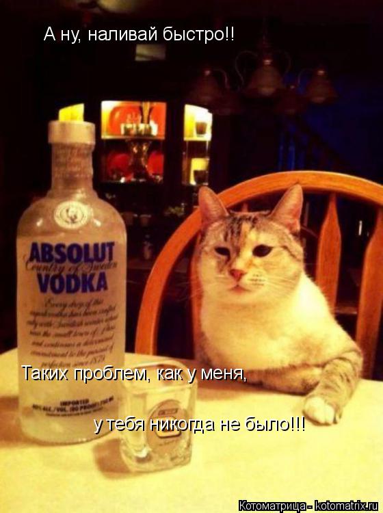 А ну, наливай быстро!! Таких проблем, как у меня, у тебя никогда не было!!!... Котоматрица: А ну, наливай быстро!! Таких проблем, как у меня, у тебя никогда не было!!!