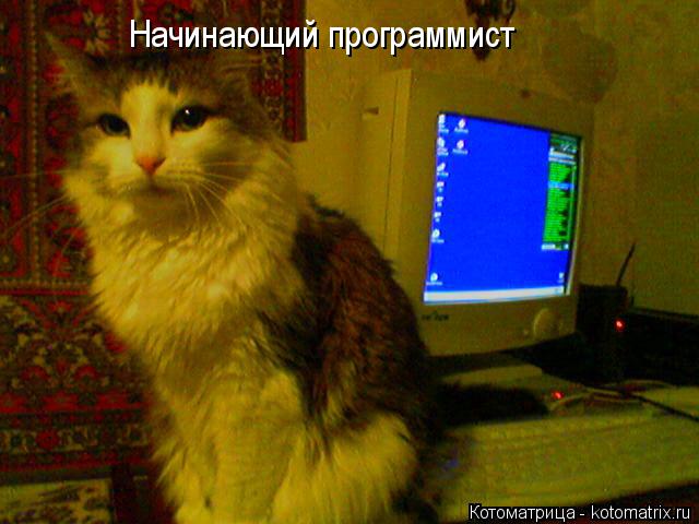 Начинающий программист... Котоматрица: Начинающий программист