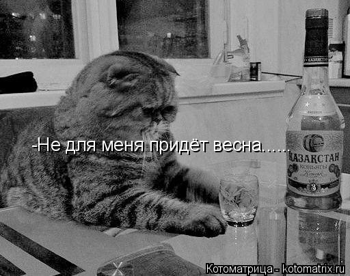 -Не для меня придёт весна......... Котоматрица: -Не для меня придёт весна......