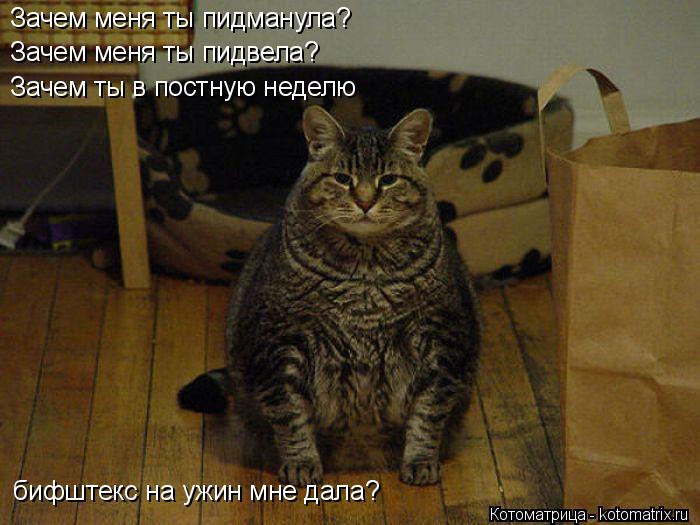 Зачем меня ты пидманула? Зачем меня ты пидвела? Зачем ты в постную неделю бифштекс на ужин мне дала?... Котоматрица: Зачем меня ты пидманула? Зачем меня ты пидвела? Зачем ты в постную неделю бифштекс на ужин мне дала?