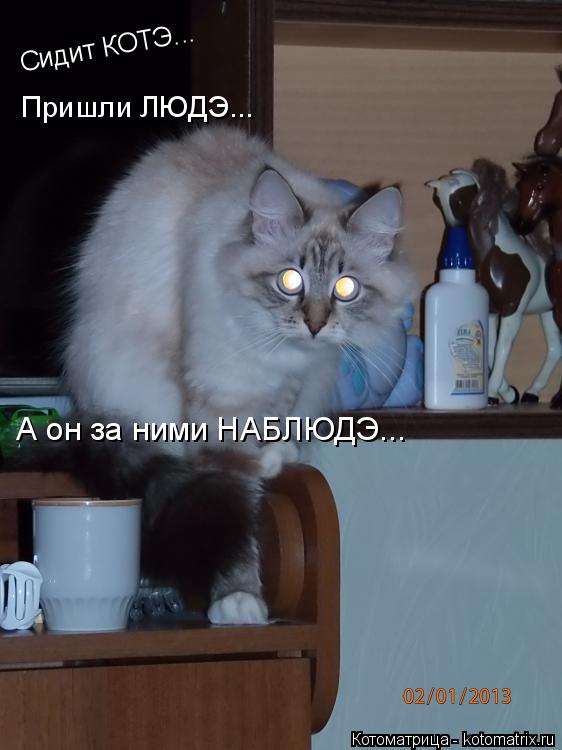 Котоматрица: Сидит КОТЭ...  Пришли ЛЮДЭ... А он за ними НАБЛЮДЭ...