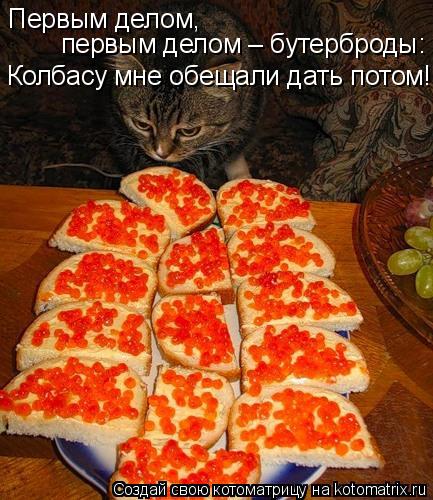 Котоматрица: Колбасу мне обещали дать потом! Первым делом, первым делом – бутерброды: