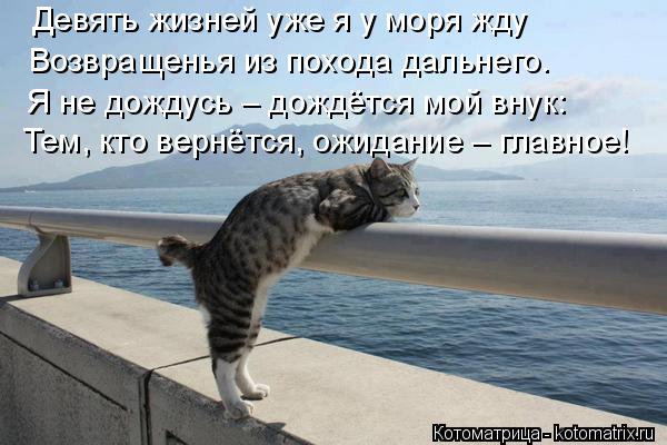 Котоматрица: Девять жизней уже я у моря жду Возвращенья из похода дальнего. Я не дождусь – дождётся мой внук: Тем, кто вернётся, ожидание – главное!