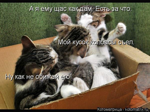 Ну как не обижай его! А я ему щас как дам. Есть за что. Мой кусок колбасы съел.... Котоматрица: Ну как не обижай его! А я ему щас как дам. Есть за что. Мой кусок колбасы съел.