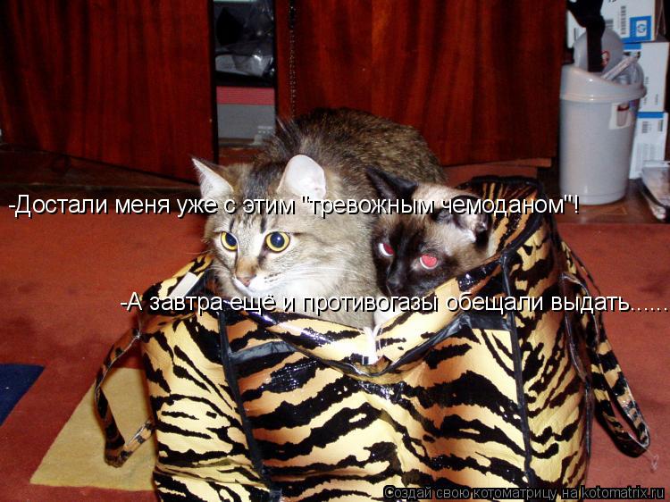 -Достали меня уже с этим "тревожным чемоданом"! -А завтра ещё и противогазы обещали выдать......... Котоматрица: -Достали меня уже с этим "тревожным чемоданом"! -А завтра ещё и противогазы обещали выдать......