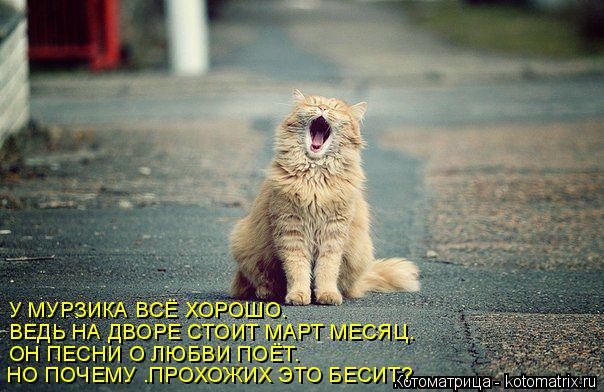 У МУРЗИКА ВСЁ ХОРОШО. ВЕДЬ НА ДВОРЕ СТОИТ МАРТ МЕСЯЦ. ОН ПЕСНИ О ЛЮБВИ ПОЁТ. НО ПОЧЕМУ .ПРОХОЖИХ ЭТО ... Котоматрица: У МУРЗИКА ВСЁ ХОРОШО. ВЕДЬ НА ДВОРЕ СТОИТ МАРТ МЕСЯЦ. ОН ПЕСНИ О ЛЮБВИ ПОЁТ. НО ПОЧЕМУ .ПРОХОЖИХ ЭТО БЕСИТ?