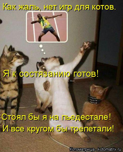 Как жаль, нет игр для котов. Стоял бы я на пьедестале! И все кругом бы трепетали! Я к состязанию гото... Котоматрица: Как жаль, нет игр для котов. Стоял бы я на пьедестале! И все кругом бы трепетали! Я к состязанию готов!
