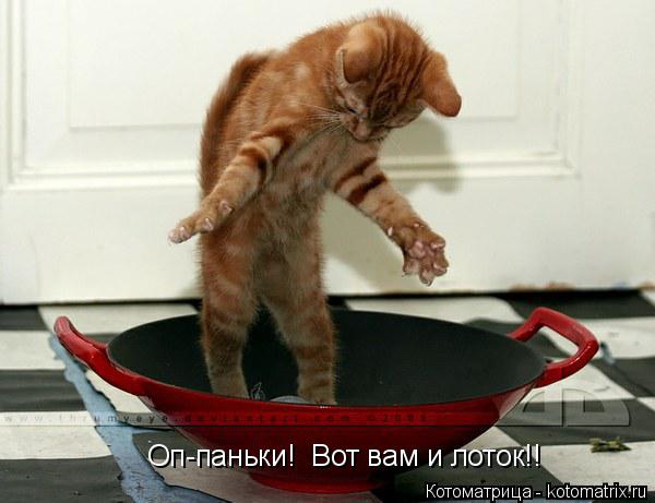 Котоматрица: Оп-паньки!  Вот вам и лоток!!