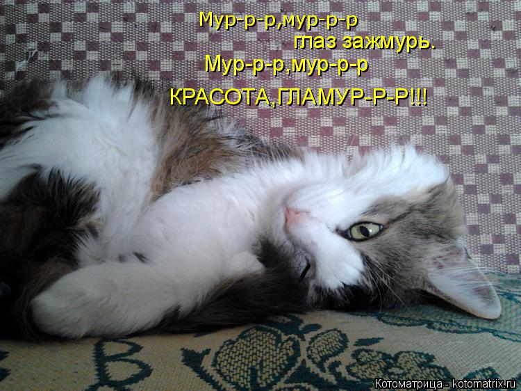 Мур-р-р,мур-р-р глаз зажмурь. Мур-р-р,мур-р-р КРАСОТА,ГЛАМУР-Р-Р!!!... Котоматрица: Мур-р-р,мур-р-р глаз зажмурь. Мур-р-р,мур-р-р КРАСОТА,ГЛАМУР-Р-Р!!!