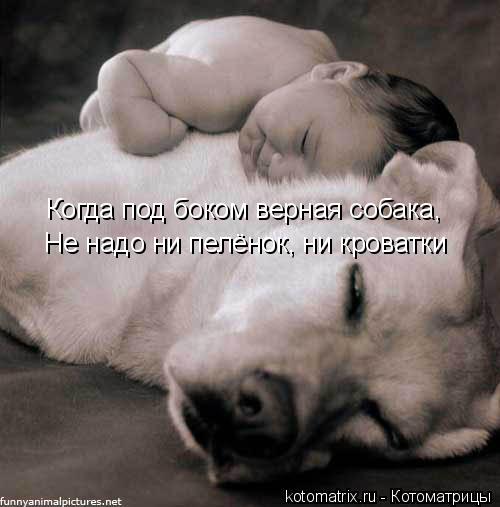 Не надо ни пелёнок, ни кроватки Когда под боком верная собака,... Котоматрица: Не надо ни пелёнок, ни кроватки Когда под боком верная собака,