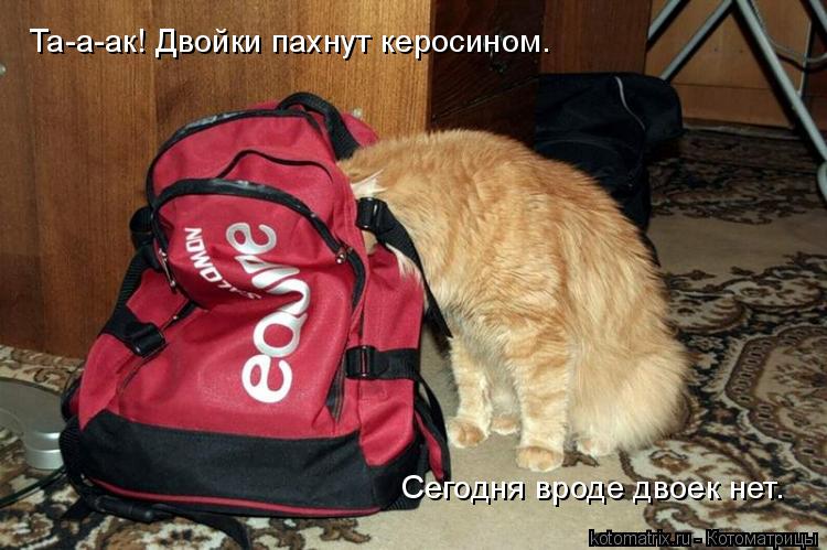 Та-а-ак! Двойки пахнут керосином. Сегодня вроде двоек нет.... Котоматрица: Та-а-ак! Двойки пахнут керосином. Сегодня вроде двоек нет.