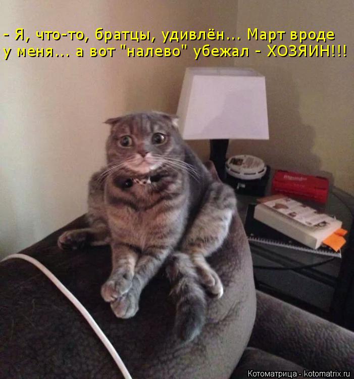 - Я, что-то, братцы, удивлён... Март вроде у меня... а вот "налево" убежал - ХОЗЯИН!!!... Котоматрица: - Я, что-то, братцы, удивлён... Март вроде у меня... а вот "налево" убежал - ХОЗЯИН!!!
