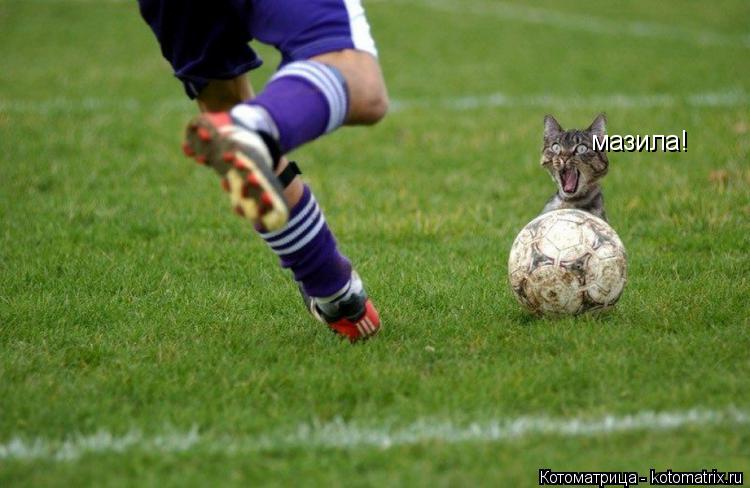 DCT мазила!... Котоматрица: DCT мазила!