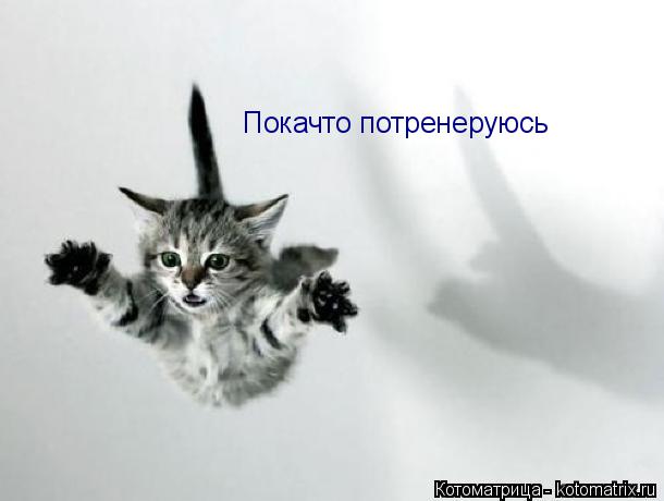 Котоматрица: Покачто потренеруюсь