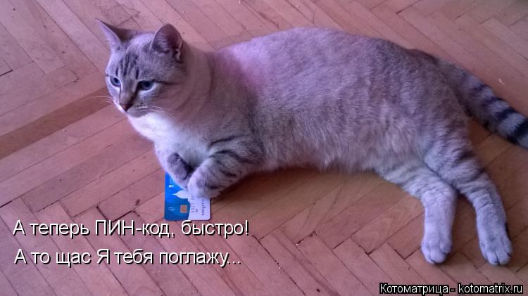 А теперь ПИН-код, быстро! А то щас Я тебя поглажу...... Котоматрица: А теперь ПИН-код, быстро! А то щас Я тебя поглажу...