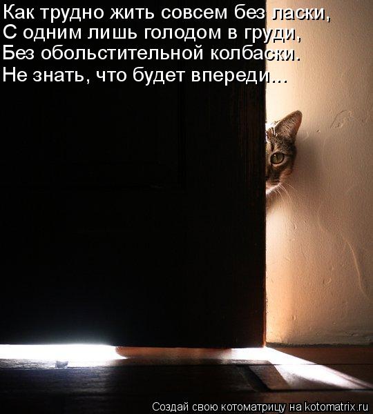Как трудно жить совсем без ласки, С одним лишь голодом в груди, Без обольстительной колбаски. Не знат... Котоматрица: Как трудно жить совсем без ласки, С одним лишь голодом в груди, Без обольстительной колбаски. Не знать, что будет впереди...