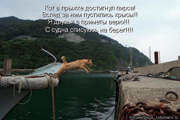 Кот в прыжке достигнул пирса! Вслед за ним пустились крысы!! С судна списуюсь на берег!!!! Я друзья в... Котоматрица: Кот в прыжке достигнул пирса! Вслед за ним пустились крысы!! С судна списуюсь на берег!!!! Я друзья в приметы верю!!!