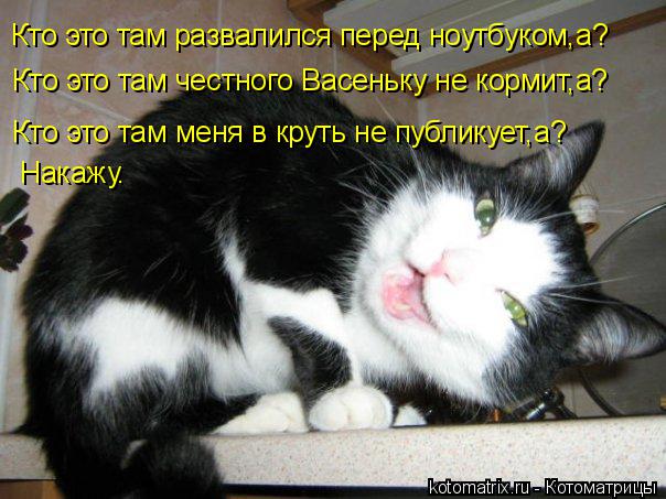 Кто это там развалился перед ноутбуком,а? Кто это там честного Васеньку не кормит,а? Кто это там меня... Котоматрица: Кто это там развалился перед ноутбуком,а? Кто это там честного Васеньку не кормит,а? Кто это там меня в круть не публикует,а? Накажу.