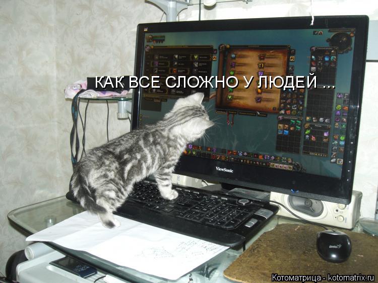 КАК ВСЕ СЛОЖНО У ЛЮДЕЙ ...... Котоматрица: КАК ВСЕ СЛОЖНО У ЛЮДЕЙ ...