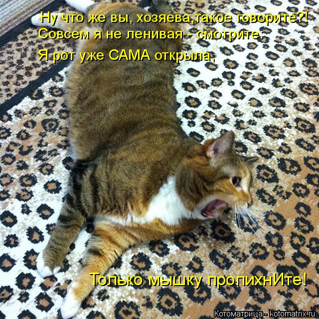 Ну что же вы, хозяева,такое говорите?! Совсем я не ленивая - смотрите: Я рот уже САМА открыла, Только... Котоматрица: Ну что же вы, хозяева,такое говорите?! Совсем я не ленивая - смотрите: Я рот уже САМА открыла, Только мышку пропихнИте!