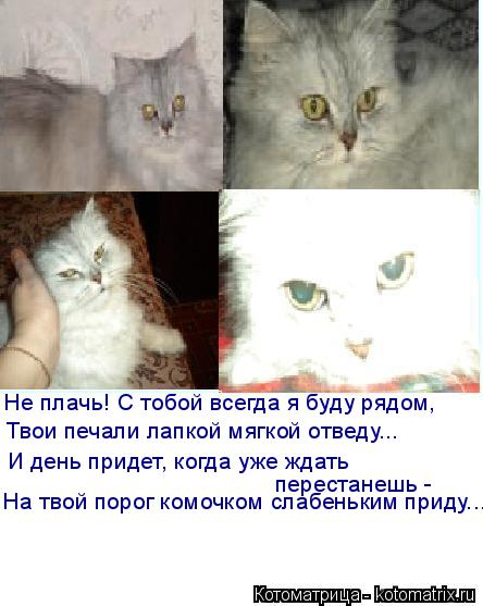 Не плачь! С тобой всегда я буду рядом, Твои печали лапкой мягкой отведу... И день придет, когда уже ж... Котоматрица: Не плачь! С тобой всегда я буду рядом, Твои печали лапкой мягкой отведу... И день придет, когда уже ждать перестанешь - На твой порог комочком